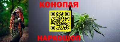 Альфа ПВП Новодвинск