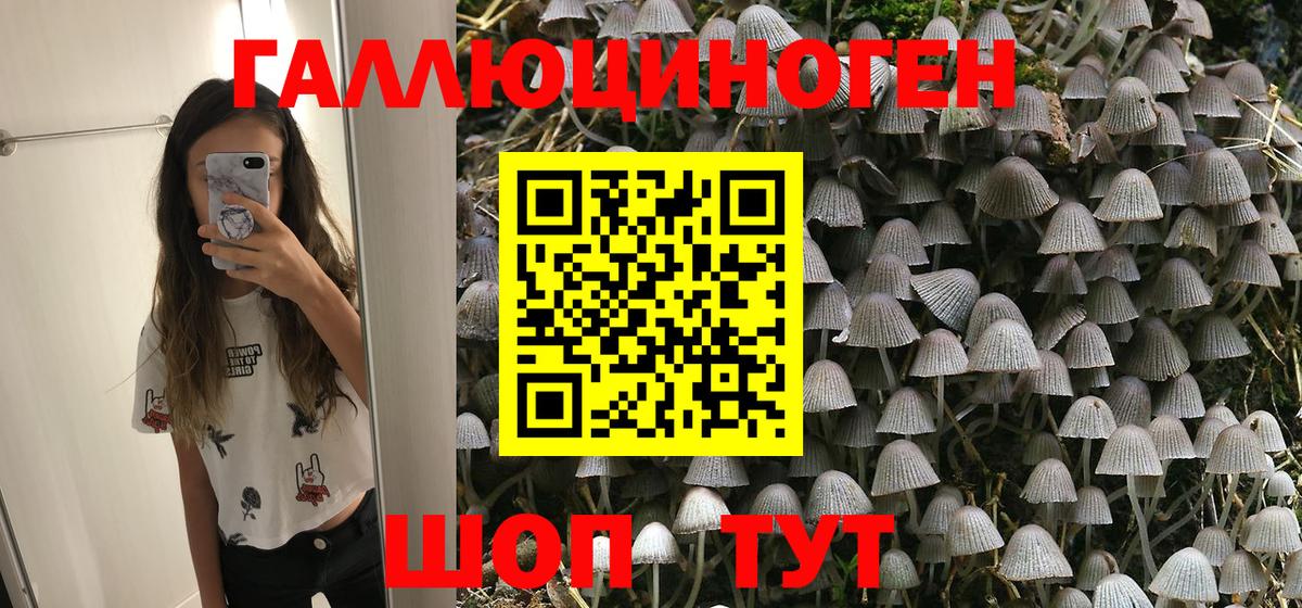 Псилоцибиновые грибы Magic Shrooms Бугуруслан