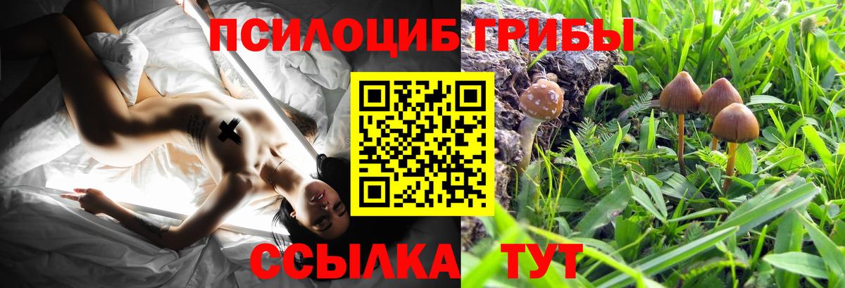 Бугуруслан  Псилоцибиновые грибы прущие грибы  Вход с VPN 